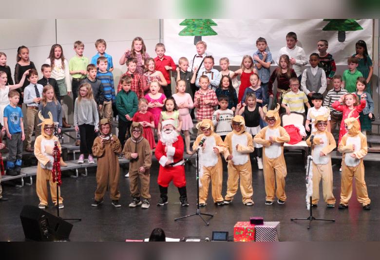 The Denmark News - Staff Photo - Create Article