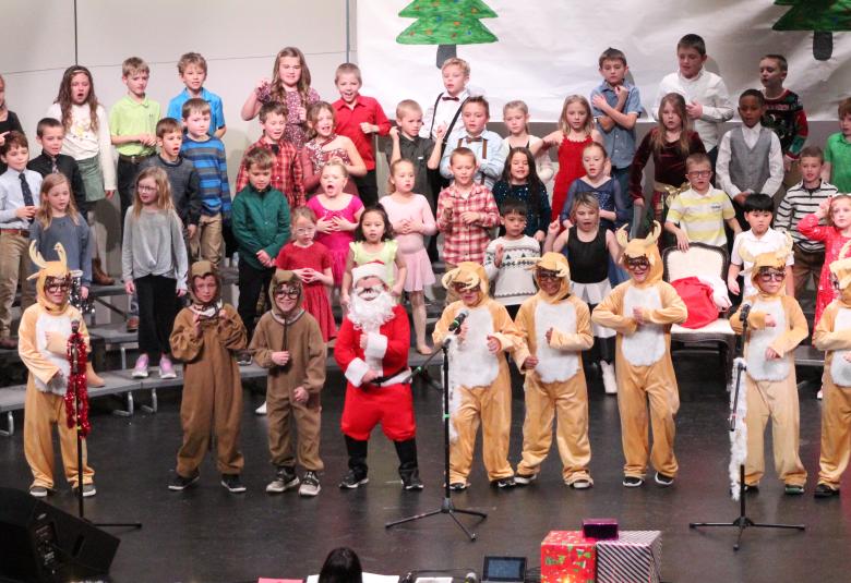 The Denmark News - Staff Photo - Create Article
