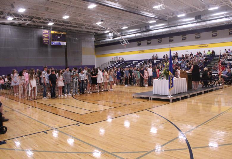 The Denmark News - Staff Photo - Create Article