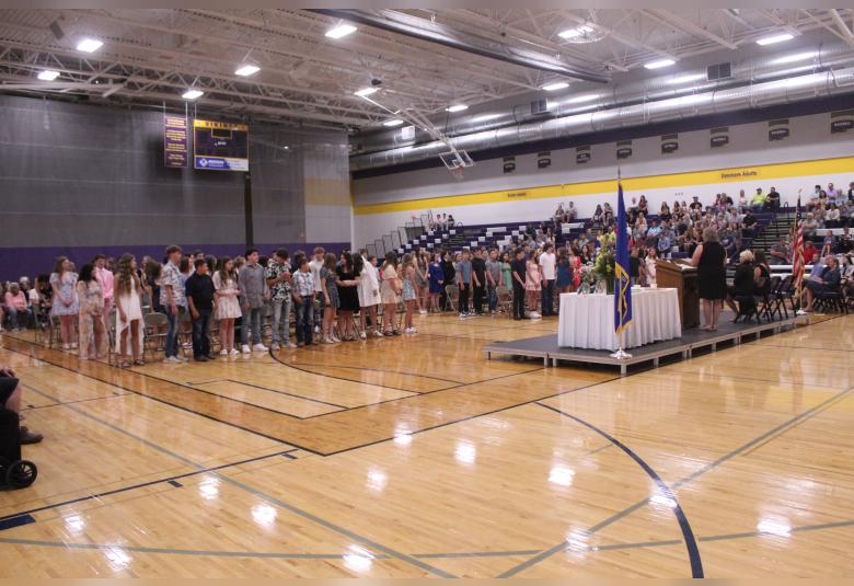 The Denmark News - Staff Photo - Create Article