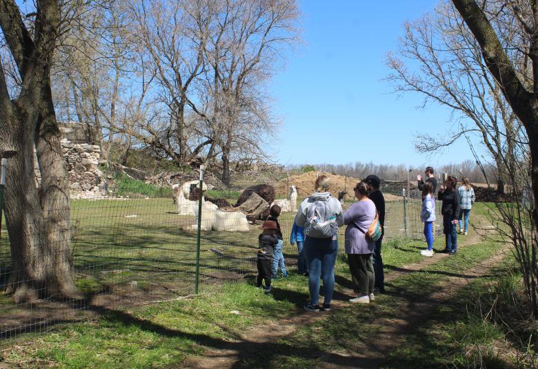 The Denmark News - Staff Photo - Create Article