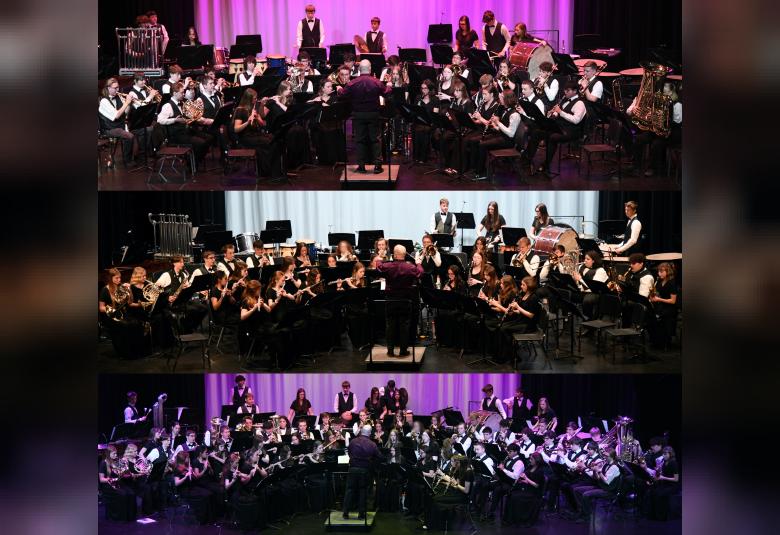 The Denmark News - Staff Photo - Create Article