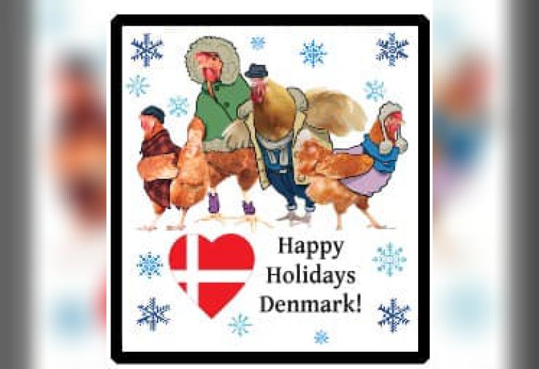 The Denmark News - Staff Photo - Create Article