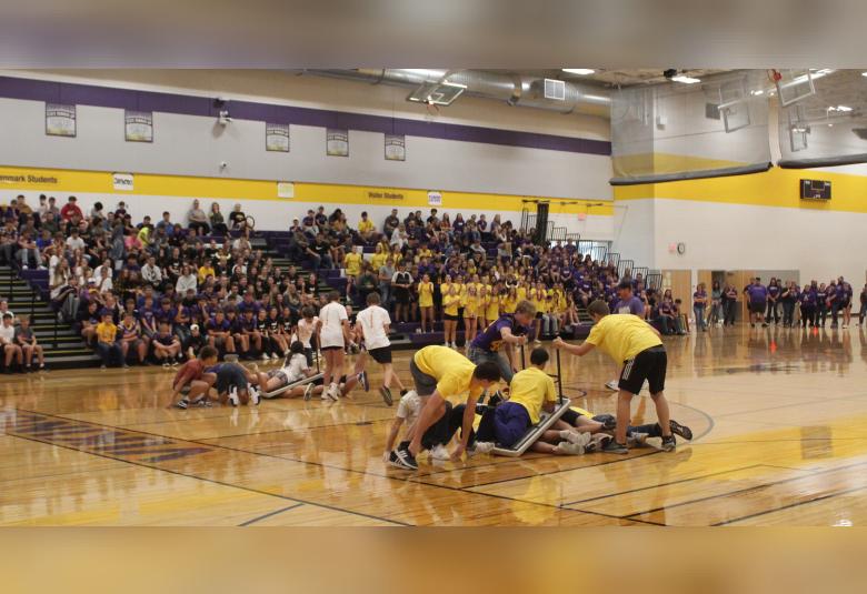 The Denmark News - Staff Photo - Create Article